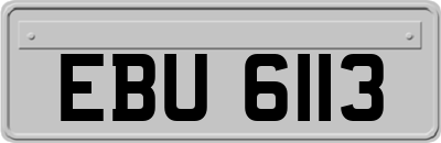 EBU6113