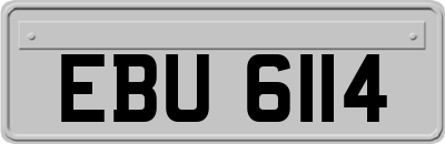 EBU6114