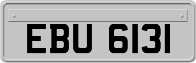 EBU6131
