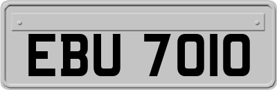 EBU7010