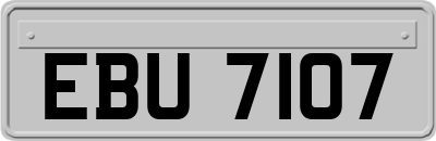 EBU7107