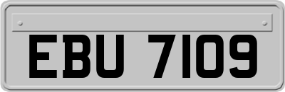 EBU7109