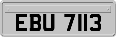 EBU7113