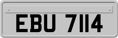 EBU7114