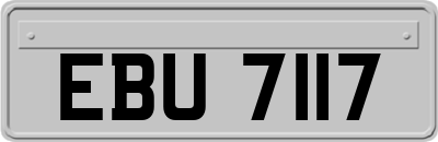 EBU7117
