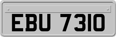 EBU7310