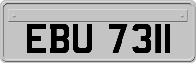 EBU7311