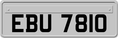 EBU7810