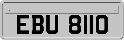 EBU8110