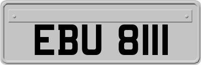 EBU8111