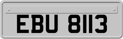 EBU8113