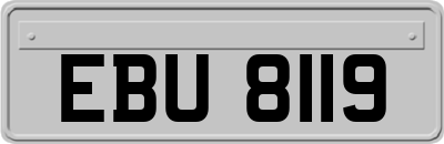 EBU8119