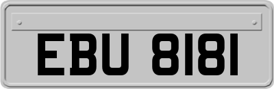 EBU8181