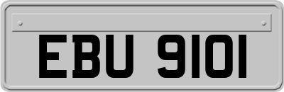 EBU9101