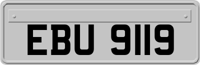 EBU9119