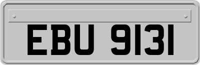 EBU9131