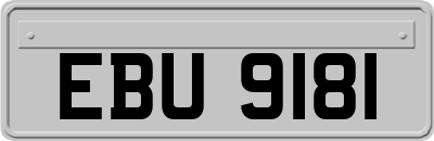 EBU9181