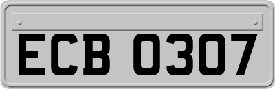 ECB0307