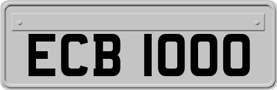 ECB1000