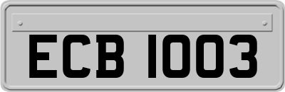 ECB1003