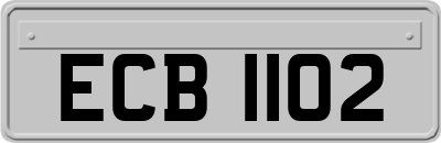 ECB1102