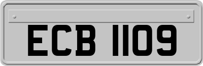 ECB1109