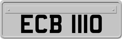 ECB1110