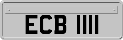 ECB1111