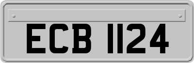 ECB1124