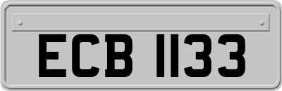 ECB1133