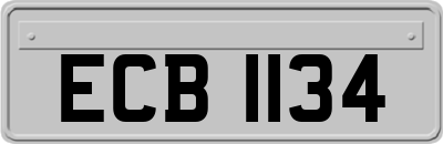 ECB1134
