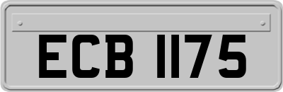 ECB1175