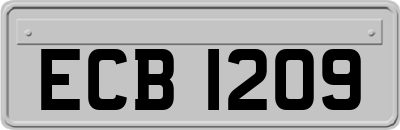 ECB1209