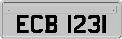 ECB1231