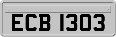 ECB1303