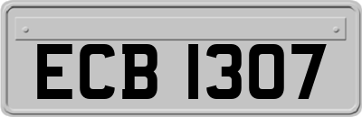 ECB1307