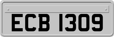 ECB1309