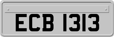 ECB1313