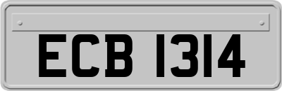 ECB1314