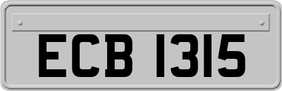 ECB1315