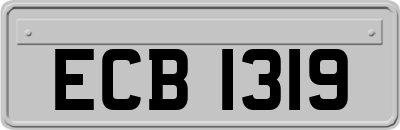 ECB1319