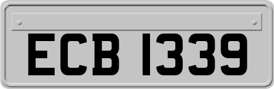 ECB1339