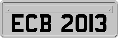 ECB2013