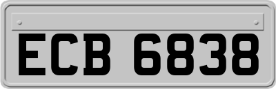 ECB6838