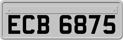 ECB6875