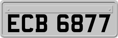 ECB6877