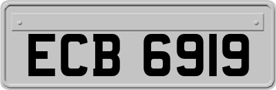ECB6919