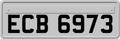 ECB6973