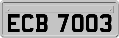 ECB7003