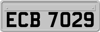 ECB7029